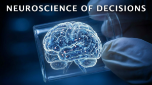 how to make decisions neuroscience